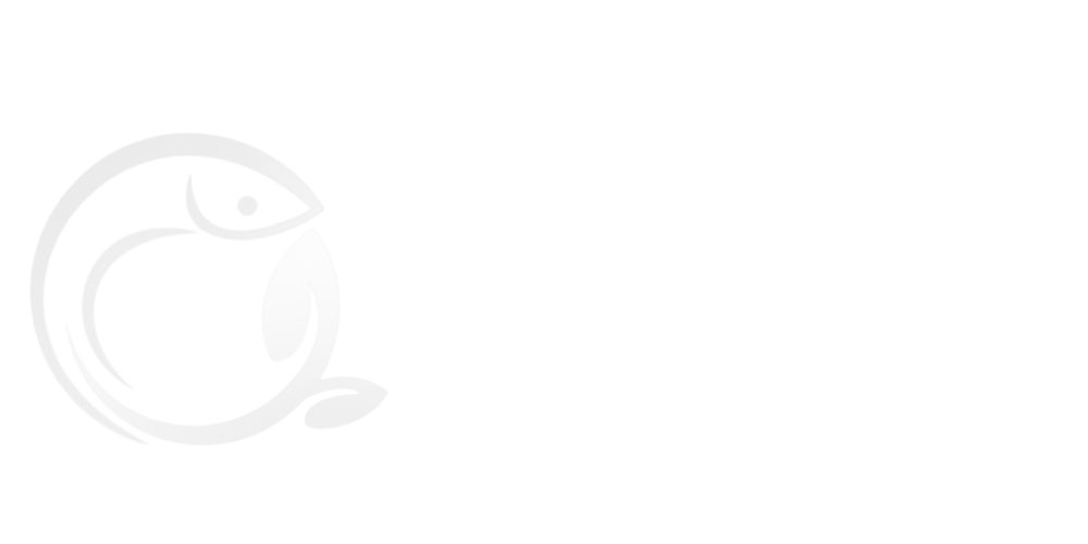 LOGO AMBFISH – branca (2)